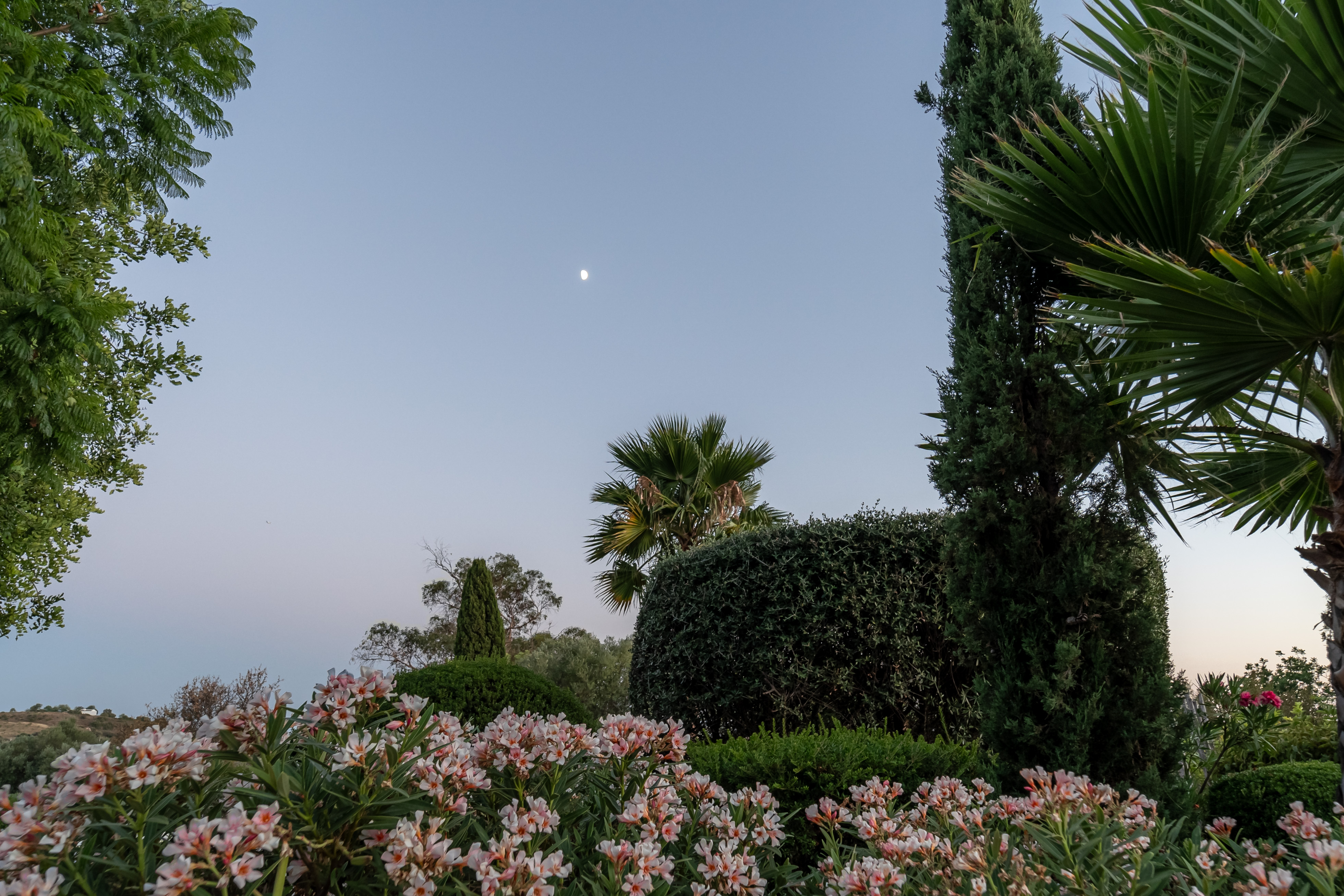 A photo of Fazenda Nova's farm or landscape